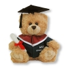 NTU Graduation Bear